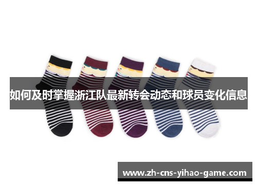 如何及时掌握浙江队最新转会动态和球员变化信息