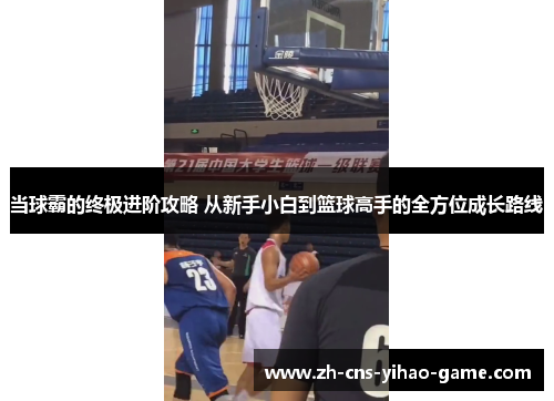 当球霸的终极进阶攻略 从新手小白到篮球高手的全方位成长路线