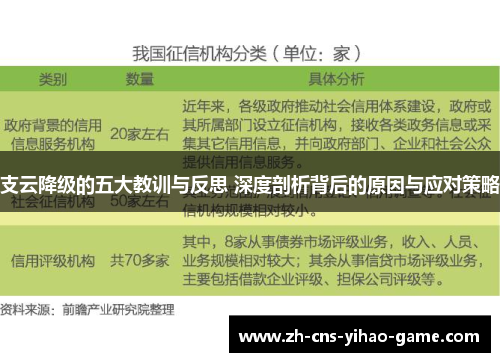 支云降级的五大教训与反思 深度剖析背后的原因与应对策略
