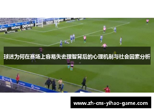 球迷为何在赛场上容易失去理智背后的心理机制与社会因素分析