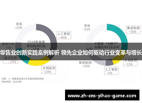 零售业创新实践案例解析 领先企业如何驱动行业变革与增长