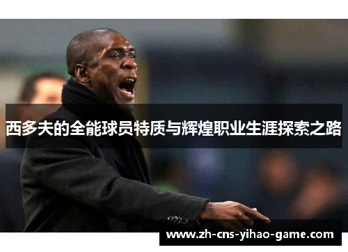 西多夫的全能球员特质与辉煌职业生涯探索之路